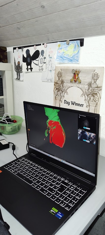 Rohdaten des 3D-Scans in der Software